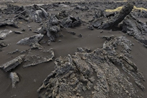 Images Dated 9th September 2014: Black sand, lava, Reykjanesskagi, Southern Peninsula or Reykjanes, Iceland