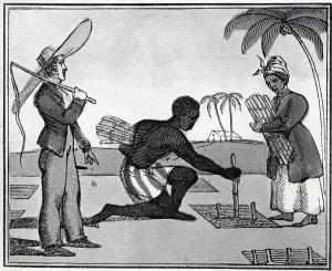 Whip Prints: Black Slave Couple Plants Sugar Cane