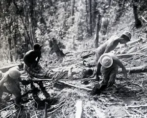 Stretcher Prints: Black Troops Carry Wounded On Stretcher