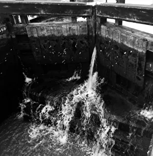 Images Dated 19th October 2015: Black and White