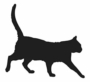 Black and white digital illustration of black domestic cat (Felis catus)
