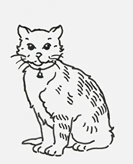 Pet Collar Prints: Black and white digital illustration of cat wearing collar with bell