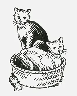 Mouse Prints: Black and white digital illustration of two cats oblivious to mouse neat pet bed