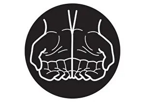 Black and white digital illustration of two cupped hands in black circle