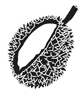 Spiked Prints: Black and white digital illustration of Durian showing aril and thorn-covered husk