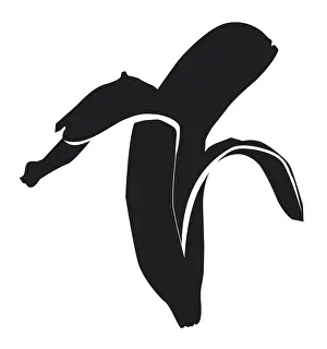 Ready To Eat Prints: Black and white digital illustration of partly peeled banana