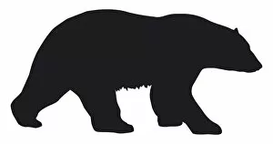 Black and white digital illustration of Polar Bear (Ursus maritimus)