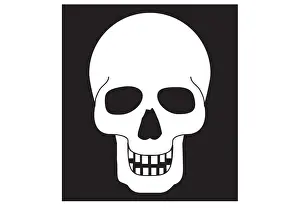 The End Prints: Black and white digital illustration representing human skull