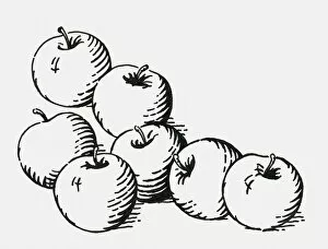 Images Dated 14th July 2009: Black and white digital illustration of ripe apples