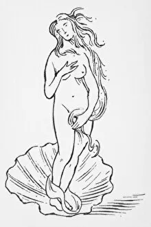 Black And White Illustration Gallery: Black and white illustration of Aphrodite (Venus), Greek and Roman goddess of love