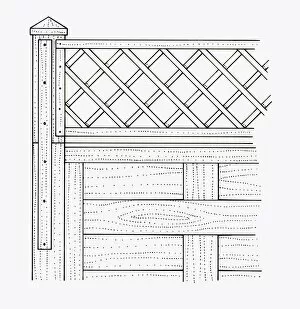 Images Dated 28th September 2009: Black and white illustration of batten and trellis nailed to garden fence