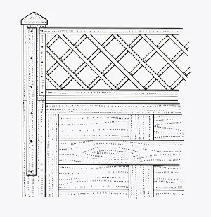 Fence Prints: Black and white illustration of batten and trellis nailed to garden fence