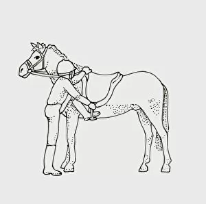Black and white illustration of child getting on horse