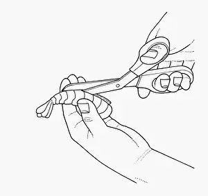 Animal Back Prints: Black and white illustration of deveining prawn using scissors to cut along back