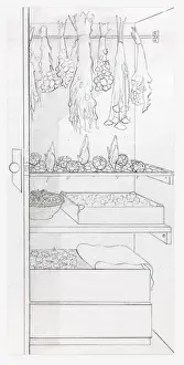 Storage Compartment Prints: Black and white illustration of dried flowers stored in a cupboard