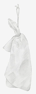 Images Dated 15th December 2011: Black and white illustration of dried hydrangea flower hung up to dry