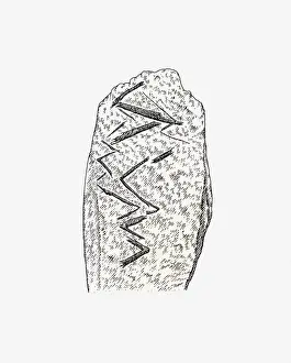 Animal Bone Prints: Black and white illustration of engraved animal bone from Bacho Kiro, Bulgaria