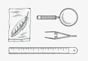 Utensil Prints: Black and white illustration of a feather in a sealed bag