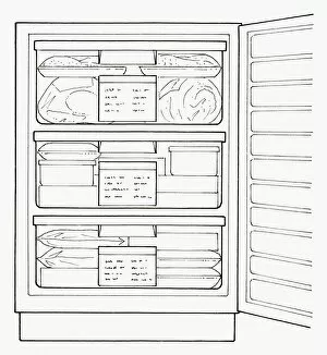 Images Dated 1st October 2009: Black and white illustration full freezer with labelling on drawers