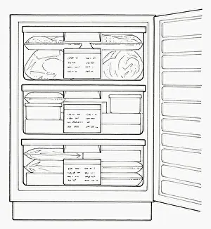 Frozen Food Prints: Black and white illustration full freezer with labelling on drawers