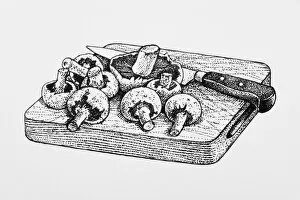 Black and white illustration of fresh mushrooms and knife on chopping board