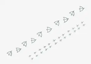 Overhead View Prints: Black and white illustration of Goose walking tracks and Finch hopping tracks