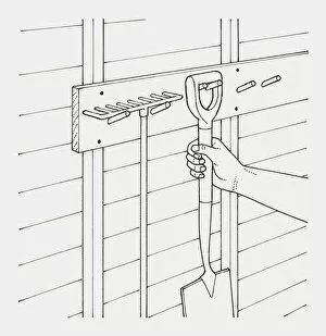 Images Dated 22nd January 2010: Black and white illustration of hand hanging garden spade next to rake on hooks in a shed