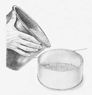 Images Dated 15th December 2011: Black and white illustration of hand holding bucket of blue silica gel crystals
