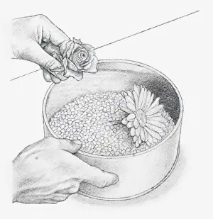 Placing Prints: Black and white illustration of hand placing flower heads