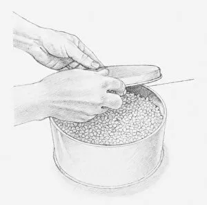 Images Dated 15th December 2011: Black and white illustration of hand placing lid onto tin, containing flowers covered with silica