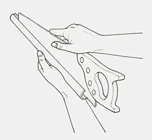 Images Dated 22nd January 2010: Black and white illustration of hand placing saw in protective cover