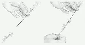 Images Dated 15th December 2011: Black and white illustration of hands connecting to sections of a stem using a piece of stub wire