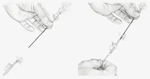 Cable Prints: Black and white illustration of hands connecting to sections of a stem using a piece of stub wire (wiring flowers)