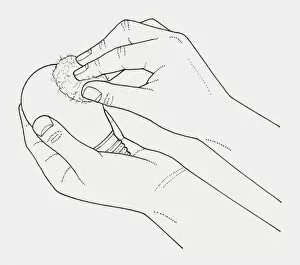 Images Dated 22nd January 2010: Black and white illustration of hands wiping a light bulb with cotton wool moistened with