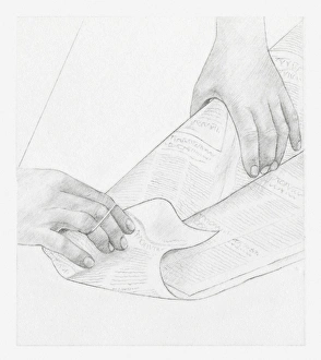 Images Dated 15th December 2011: Black and white illustration of hands wrapping up a bunch of dried flowers in newspaper