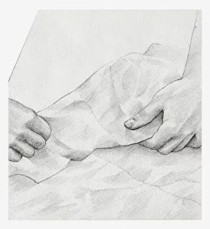 Images Dated 15th December 2011: Black and white illustration of hands wrapping dried hydrangea flower individually in tissue paper