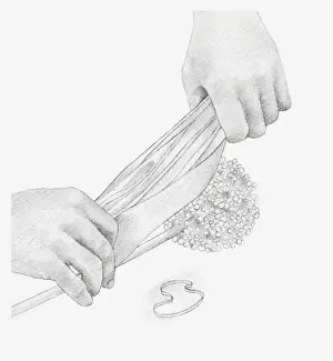 Storing Prints: Black and white illustration of hands wrapping a dried onion seed head in tissue paper (storing dried flowers)