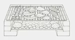 Black and white illustration of kebabs, steaks, chicken drumsticks and corn cobs on a grill over hot coals