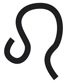 The Zodiac Prints: Black and White Illustration of Leo zodiac sign