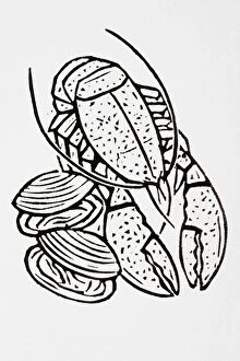 Black and white illustration of lobster and clams