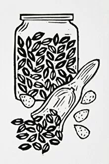 Black and white illustration of nuts and seeds, in jar and on spoon