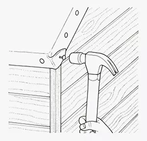 Images Dated 25th September 2009: Black and white illustration of of using hammer to nail felt roofing on eaves of garden shed