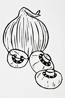 Images Dated 18th July 2007: Black and white illustration of onion and mushrooms