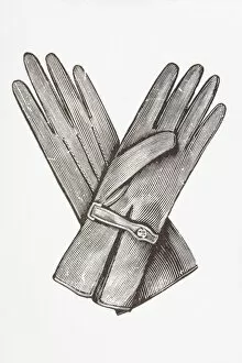 Images Dated 17th January 2008: Black and white illustration of pair of ladies gloves