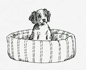 Images Dated 15th May 2017: Black and white illustration of a puppy sitting up in a dog bed