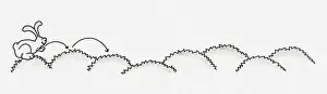 Rabbit Animal Prints: Black and white illustration of a rabbit hopping across small hills