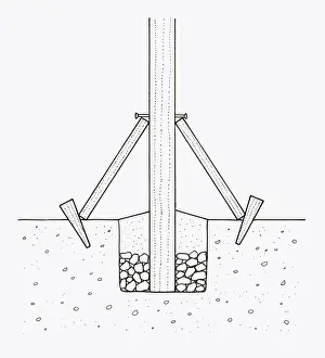 Wooden Post Prints: Black and white illustration of repositioned and repaired wooden post using supports