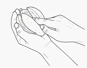 Lemon Fruit Prints: Black and white illustration of rubbing salt into lemon slices to preserve