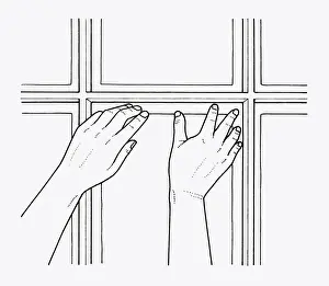 Greenhouse Prints: Black and white illustration showing how to install glass in greenhouse