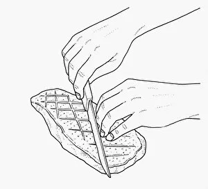 Images Dated 1st October 2009: Black and white illustration showing how to prepare duck breast for grilling or frying by scoring sk